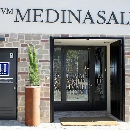 Hotel Medinasalim Medinaceli